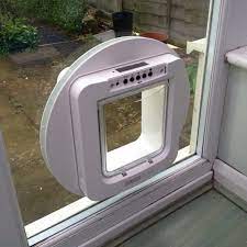 CAT FLAP INTO GLASS 